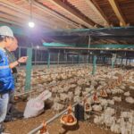 Pemerintah Tahan Tarif Listrik April–Juni 2026, Fokus Lindungi Daya Beli