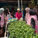 Srikandi Movement PLN Meluas, Lebih dari 40 Ribu Orang Rasakan Dampaknya