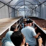 Panas Bumi Tak Lagi Sekadar Listrik, Pertamina Ubah Geothermal Jadi Mesin Ekonomi Warga