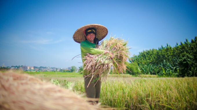 NTP Mei 2026 naik 1,99 persen menjadi 127,73. Mentan Amran menyebut pendapatan dan daya beli petani semakin membaik.