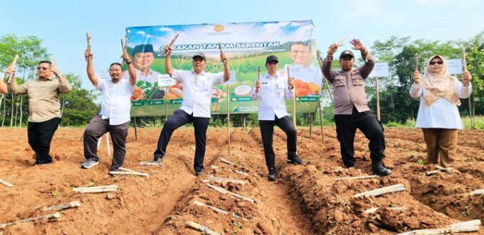 Kementan dan Pemkab Pekalongan mempercepat tanam tebu untuk mendukung swasembada gula nasional pada 2026.