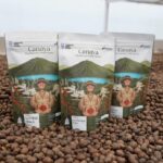 Pertamina Optimalkan Panas Bumi Kamojang, Kopi Lokal Tembus Pasar Asia dan Eropa