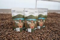 Pertamina Optimalkan Panas Bumi Kamojang, Kopi Lokal Tembus Pasar Asia dan Eropa