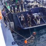 KKP Lepas 1.300 Ekor Ikan Napoleon Dilepas di KKPD Sulawesi Utara
