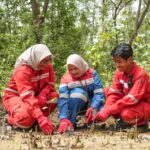RDMP Balikpapan Kian Dekat Beroperasi, KPB Perkuat Langkah Menuju Kapasitas Kilang 360 Ribu Barel per Hari