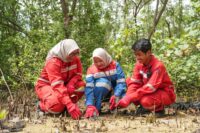 RDMP Balikpapan Kian Dekat Beroperasi, KPB Perkuat Langkah Menuju Kapasitas Kilang 360 Ribu Barel per Hari