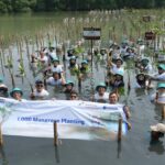 PIEP Perkuat Komitmen ESG Lewat Penanaman 1.000 Mangrove dan Aksi Peduli Lingkungan
