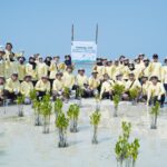 PHI Perkuat Ekosistem Pesisir Lewat Penanaman 1.500 Mangrove dan Lamun di Pulau Pari