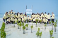PHI Perkuat Ekosistem Pesisir Lewat Penanaman 1.500 Mangrove dan Lamun di Pulau Pari