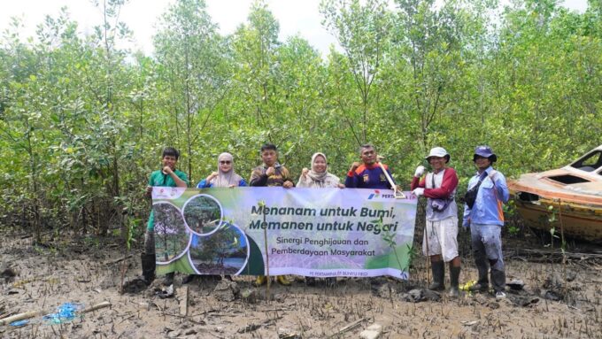 Pertamina EP Bunyu Field Hijaukan Pesisir dengan 1.000 Bibit, Dorong Pemberdayaan Ekonomi Masyarakat