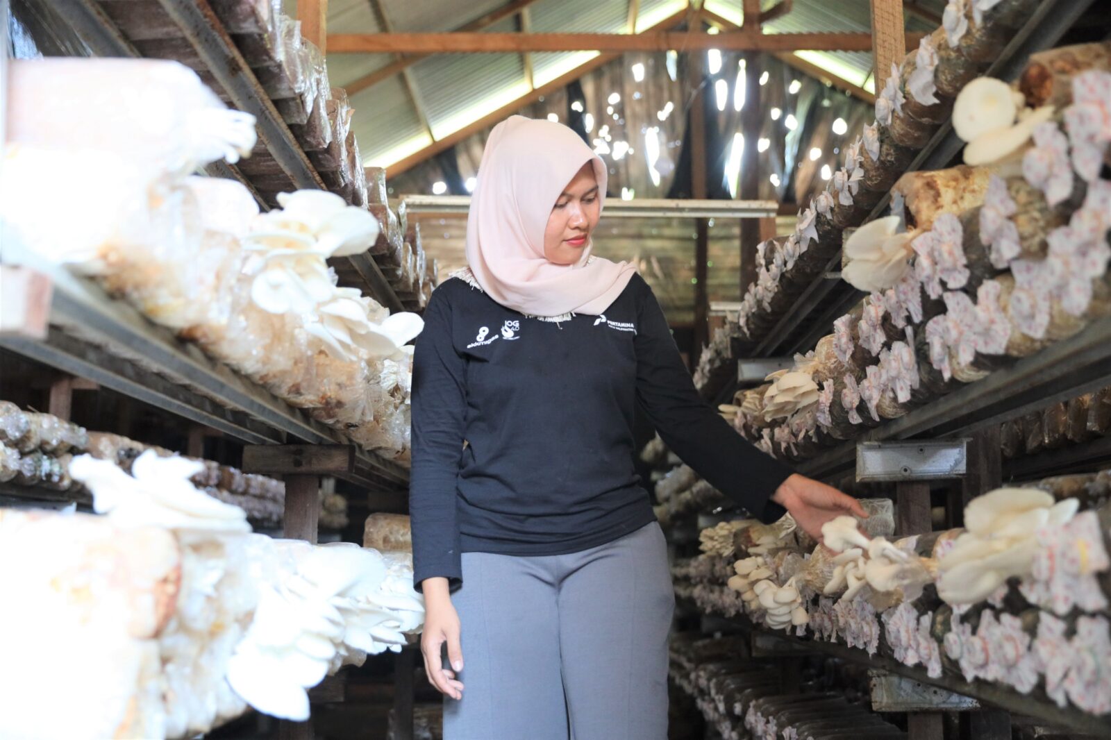 PHKT Sabet Penghargaan Pemkab PPU, Program CSR Dorong Ketahanan Pangan dan Ekonomi Masyarakat