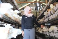 PHKT Sabet Penghargaan Pemkab PPU, Program CSR Dorong Ketahanan Pangan dan Ekonomi Masyarakat