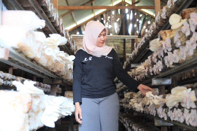 PHKT Sabet Penghargaan Pemkab PPU, Program CSR Dorong Ketahanan Pangan dan Ekonomi Masyarakat