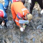 Ribuan Mangrove Ditanam PHI, Pesisir Kalimantan Diperkuat dari Ancaman Abrasi