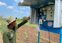 Petani Boyolali Makin Produktif, Pertamina Buka Akses Air Saat Kemarau
