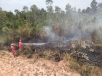 Karhutla di Muba Belum Reda, Tim Pertamina EP Ramba Sudah 17 Kali Bertindak