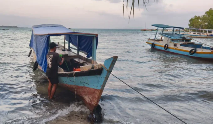 PLTS PLN Sulap Pulau Rengit Jadi Terang 24 Jam, Biaya Listrik Turun Tajam!
