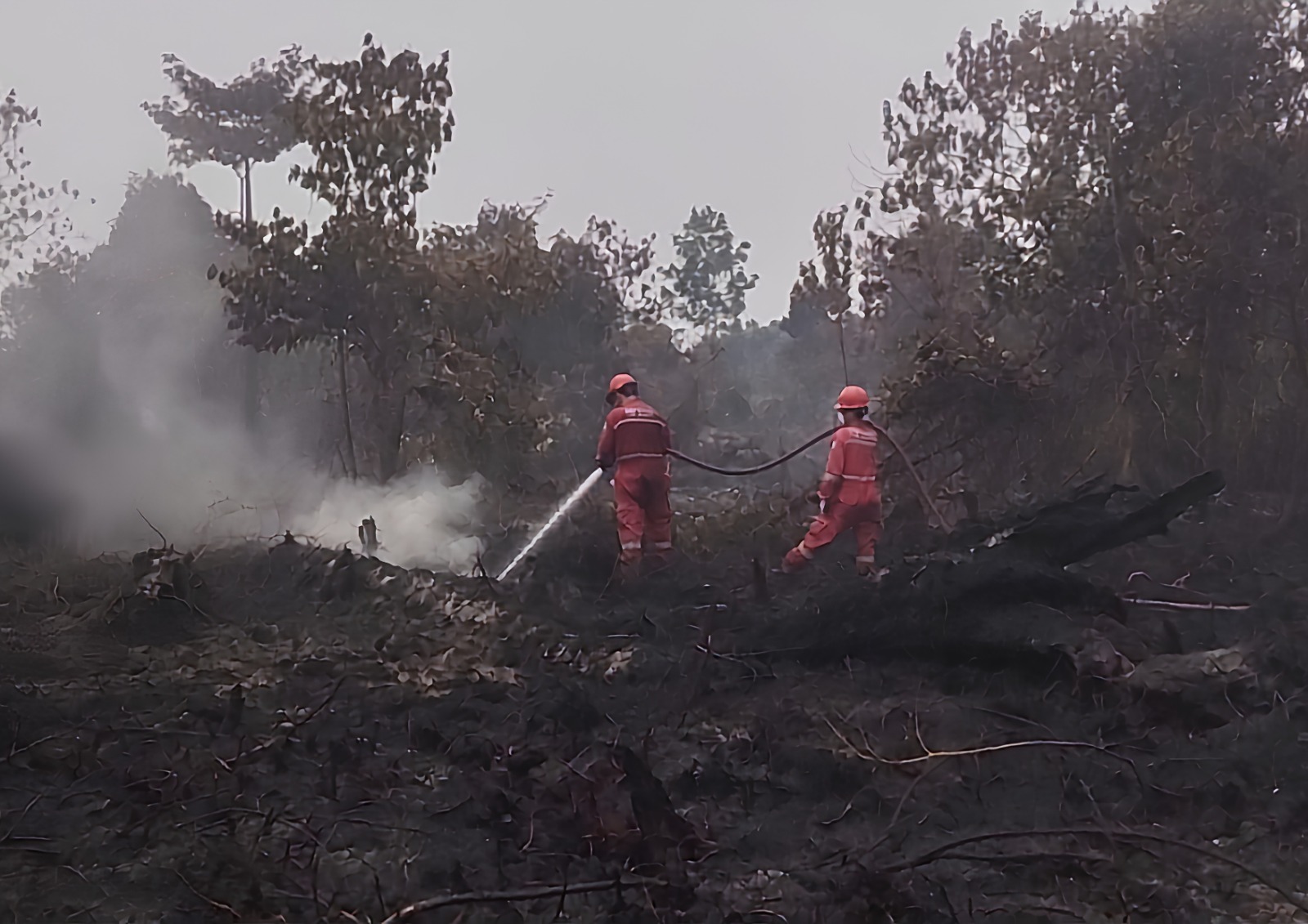 Karhutla Mengganas, PHR Turunkan Tim 14 Kali Lindungi Wilayah Operasi