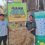 Bukan Sampah Biasa! 673 Ton Jerami Karawang Disulap Jadi Ladang Rezeki