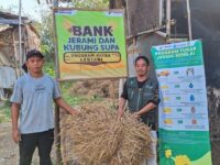 Bukan Sampah Biasa! 673 Ton Jerami Karawang Disulap Jadi Ladang Rezeki
