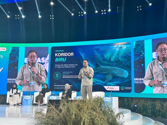Hiu Paus Makin Terancam, PIS Turun Tangan dengan Teknologi Canggih
