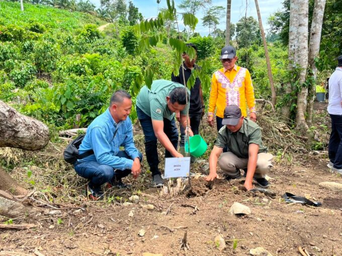 Gajah Aceh Terancam Kehilangan Ruang Jelajah, PHE NSO Gaspol Pulihkan Cot Girek