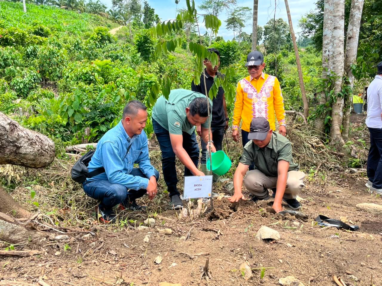 Gajah Aceh Terancam Kehilangan Ruang Jelajah, PHE NSO Gaspol Pulihkan Cot Girek