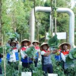 Panas Bumi Kamojang Sulap 600 Ton Limbah, Panen Petani Tembus 55 Ton