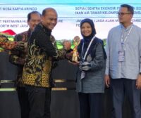 Gerbang Insan Mapan PHKT Bikin Sawah Makin Produktif, Padi dan Ikan Jalan Bersama