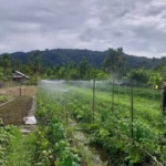 PLN Journalist Awards 2026 Resmi Dibuka, Ada Jalan Menuju 81 Jurnalis Terbaik!
